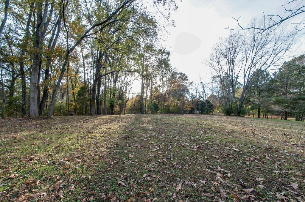 7302 Chester Road Fairview, TN 37062 - Photo 23 of 27 Gallery Image 23