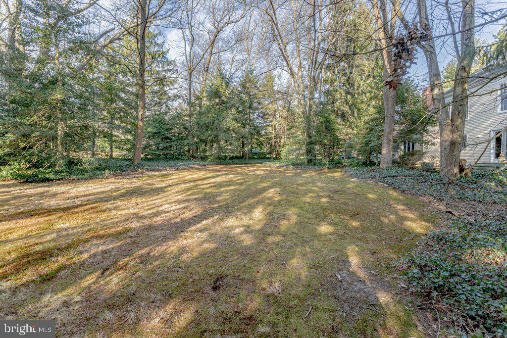 320 Westover Road Moorestown, NJ 08057 - Photo 32 of 34 View from the House to Yard