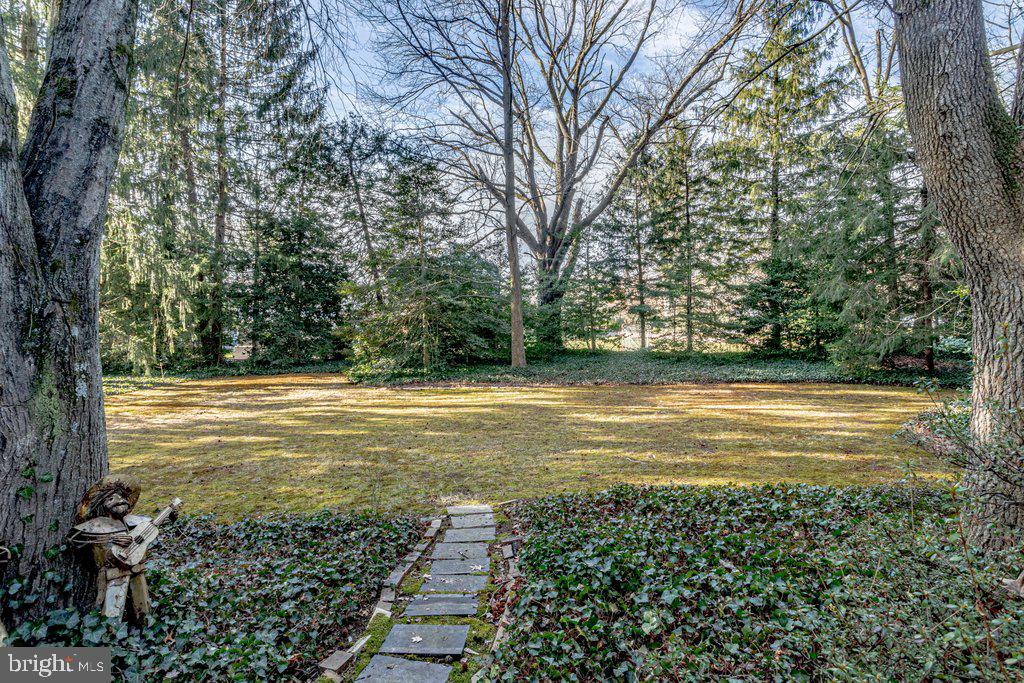 320 Westover Road Moorestown, NJ 08057 - Photo 33 of 34 View from House to yYrd