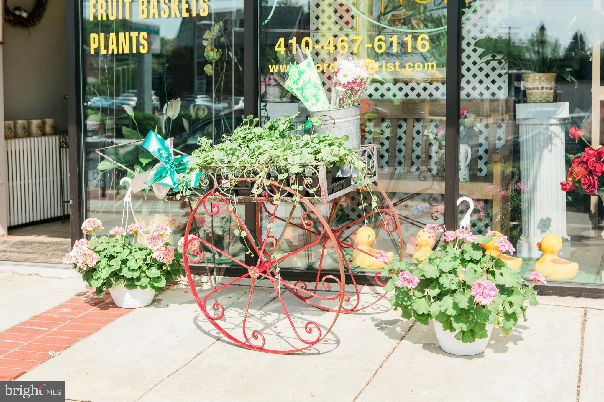 115 Overbrook Road Baltimore, MD 21212 - Photo 21 of 26 Shopping Area