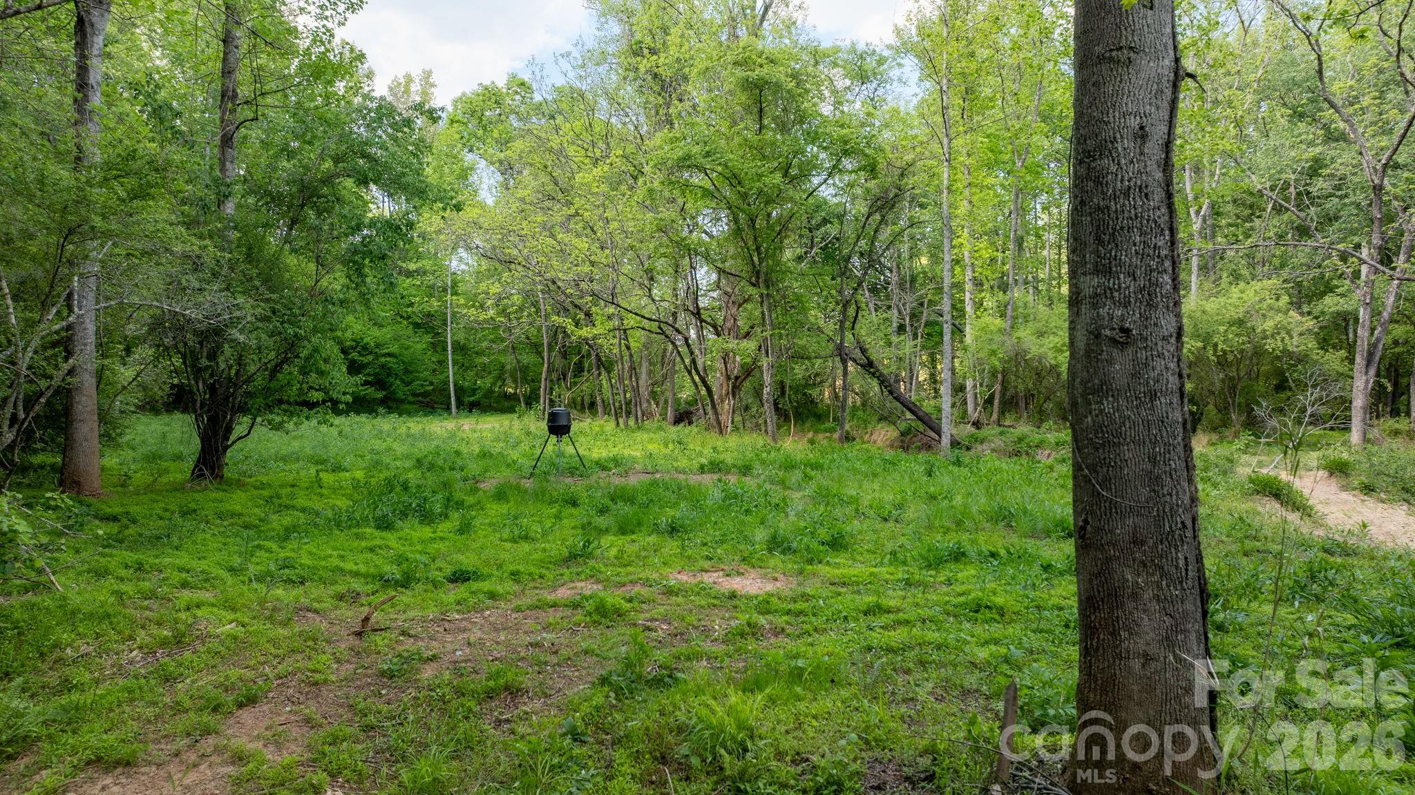 0 Stikeleather Road Hiddenite, NC 28636 - Photo 16 of 28 a view of a green field with lots of bushes