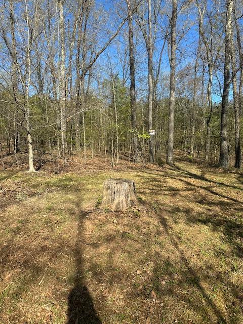35310 Geiger Road Logan, OH 43138 - Photo 10 of 56 IMG_8840