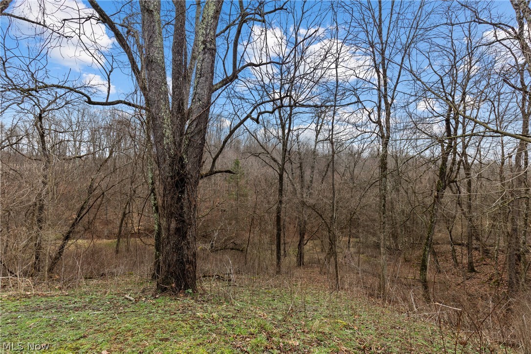 38340 Lees Run Road Cadiz, OH 43907 - Photo 27 of 31 View of tree filled area