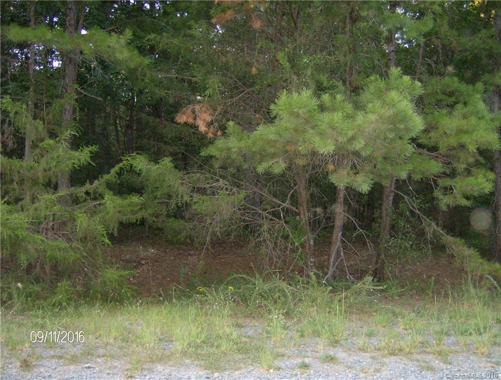 0 Cabarrus Farms Road, Unit 25 Midland, NC 28107 - Photo 2 of 3 Gallery Image 2