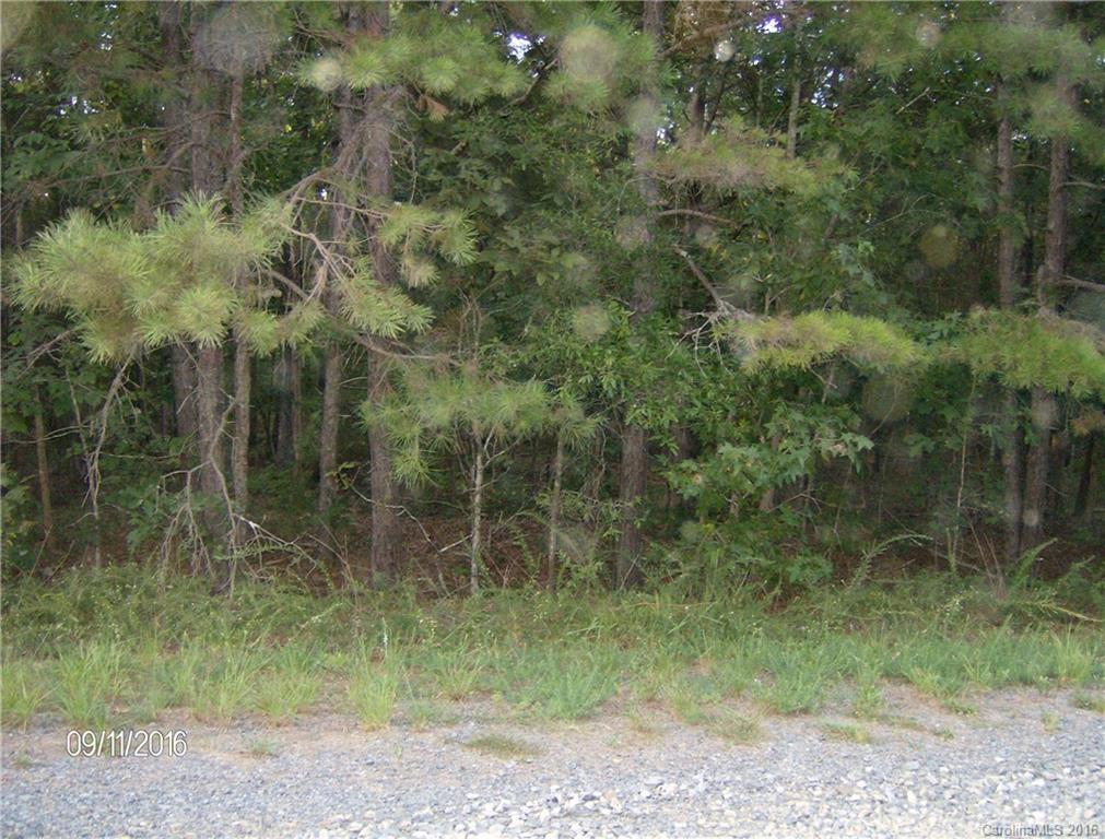 0 Cabarrus Farms Road, Unit 25 Midland, NC 28107 - Photo 3 of 3 Gallery Image 3