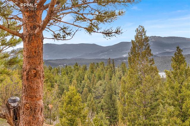 1500 Hitchrack Road Bailey, CO 80421 - Photo 42 of 43 Gallery Image 42