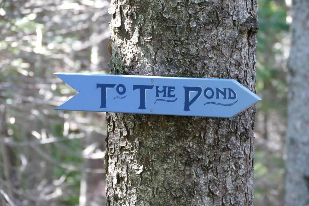 36 Blanchard Road Mount Desert, ME 04660 - Photo 22 of 30 Photo