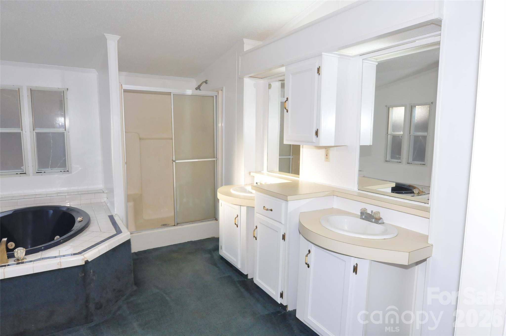 1413 Minter Road Chester, SC 29706 - Photo 15 of 20 a bathroom with a sink and a mirror