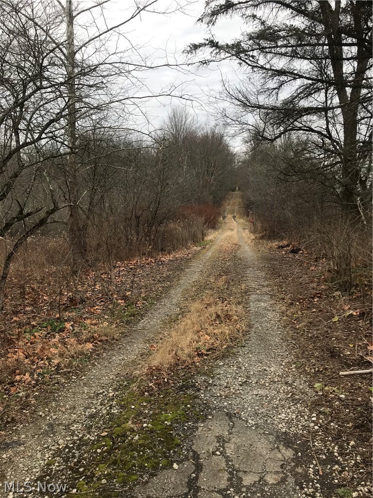 8200 Gibson Road Canfield, OH 44406 - Photo 1 of 19 First entrance to property. A Great Start!