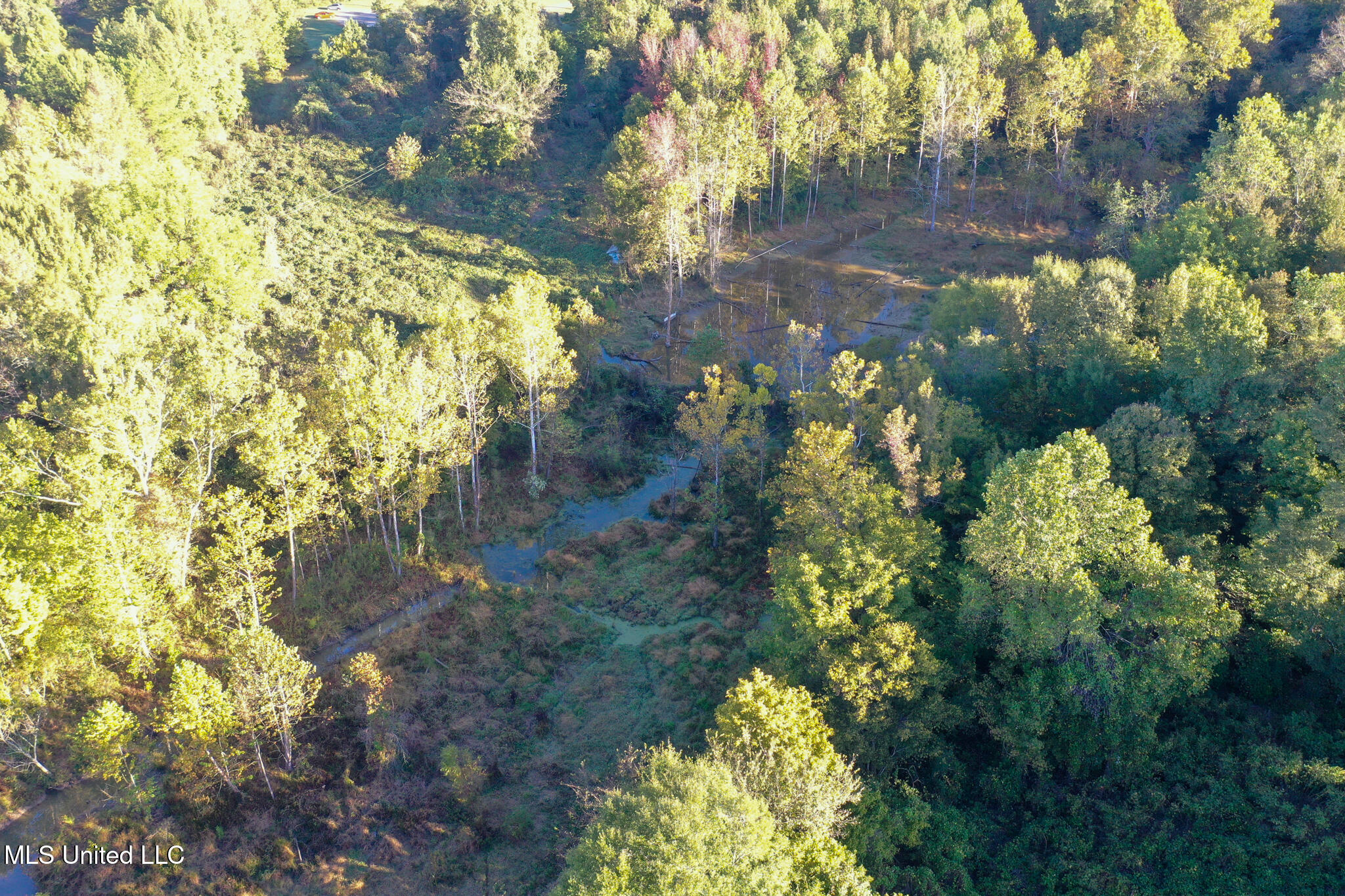 East Williams Road Hernando, MS 38632 - Photo 11 of 28 DeSoto 36 -34