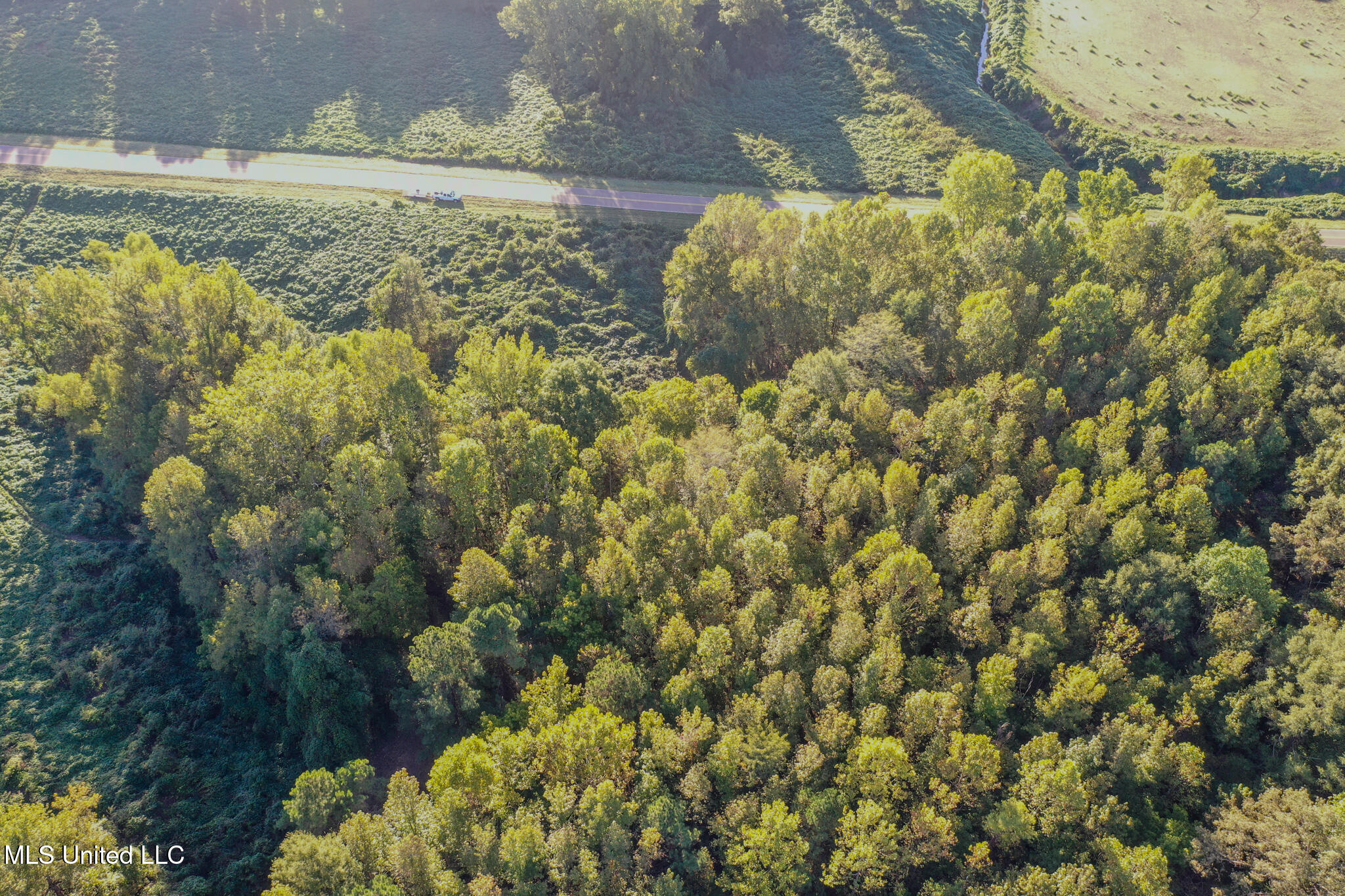 East Williams Road Hernando, MS 38632 - Photo 12 of 28 DeSoto 36 -35