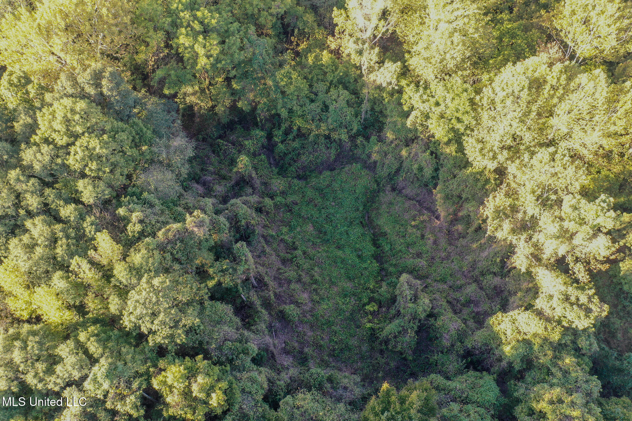 East Williams Road Hernando, MS 38632 - Photo 14 of 28 DeSoto 36 -37