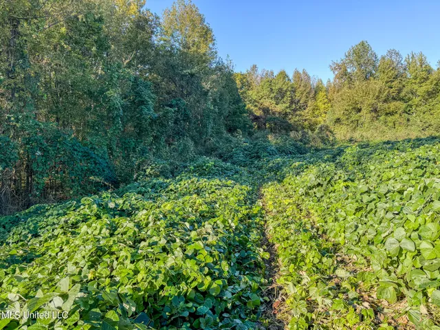 $199,900 | East Williams Road, Hernando, MS 38632