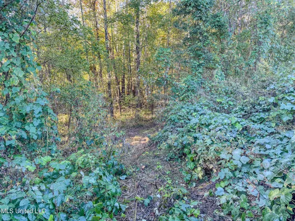 $199,900 | East Williams Road, Hernando, MS 38632