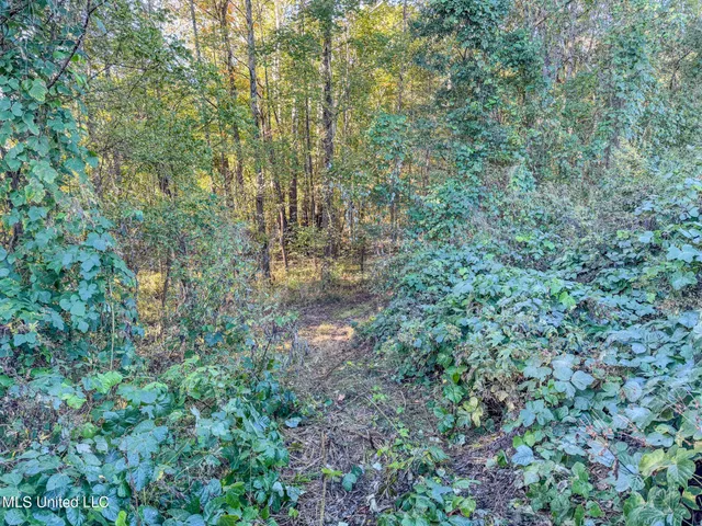 $199,900 | East Williams Road, Hernando, MS 38632