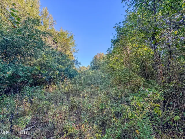 $199,900 | East Williams Road, Hernando, MS 38632