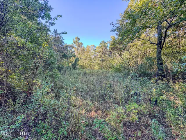 $199,900 | East Williams Road, Hernando, MS 38632