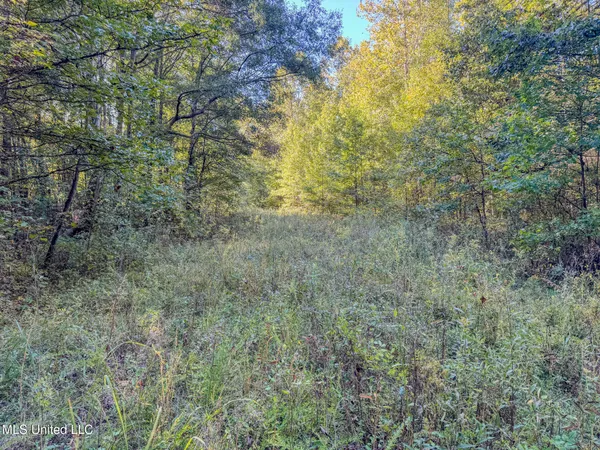 $199,900 | East Williams Road, Hernando, MS 38632