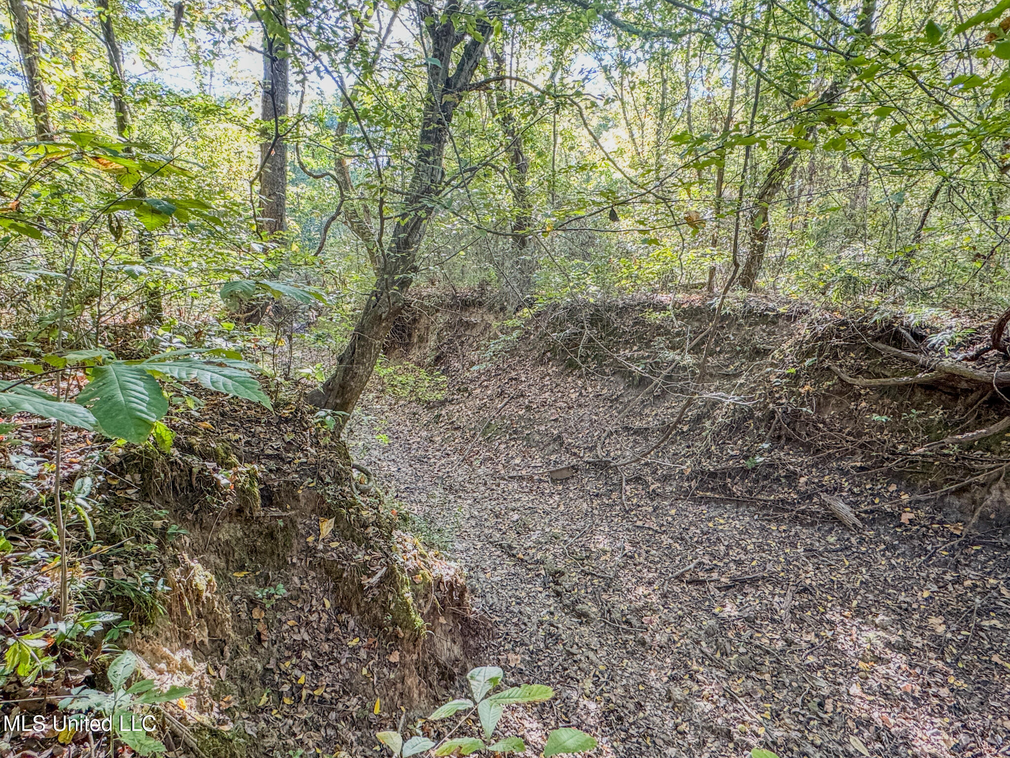 East Williams Road Hernando, MS 38632 - Photo 22 of 28 DeSoto 36 -45