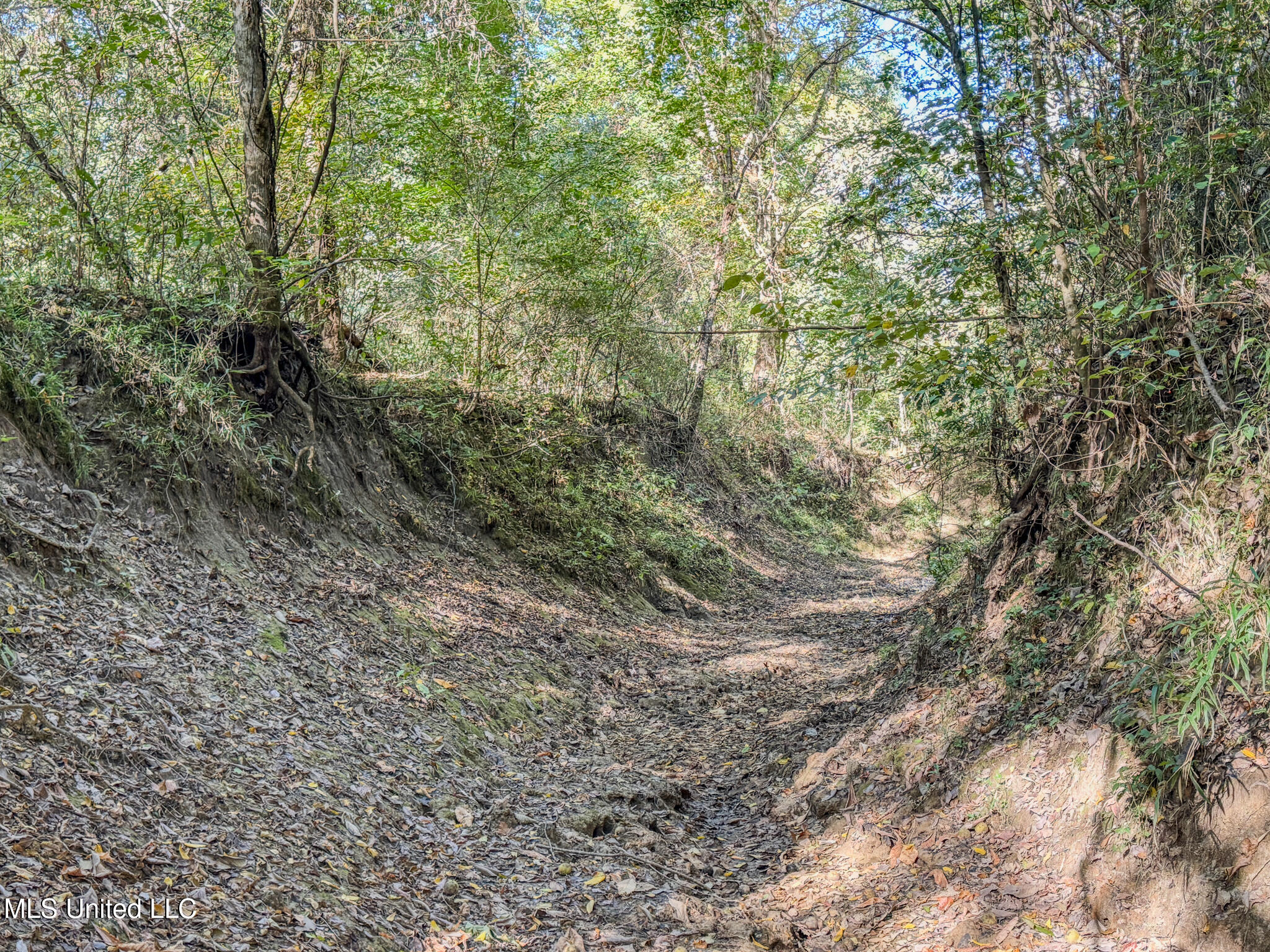 East Williams Road Hernando, MS 38632 - Photo 23 of 28 DeSoto 36 -46