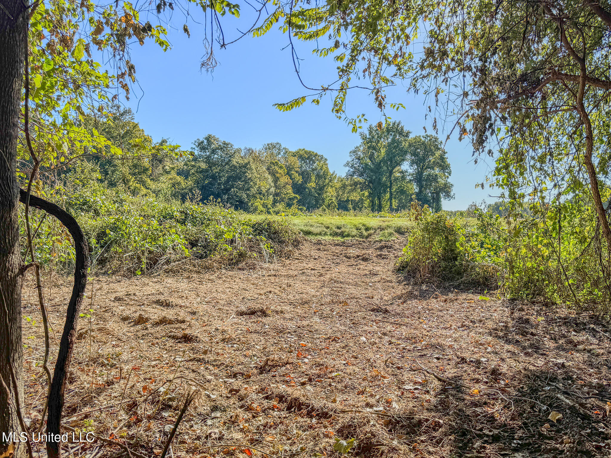 East Williams Road Hernando, MS 38632 - Photo 24 of 28 DeSoto 36 -47