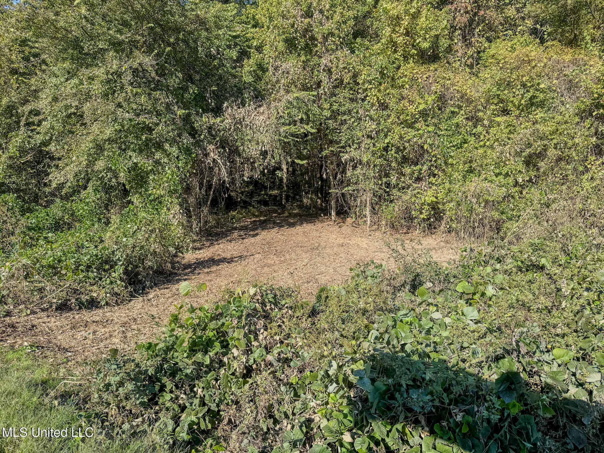 East Williams Road Hernando, MS 38632 - Photo 25 of 28 DeSoto 36 -48