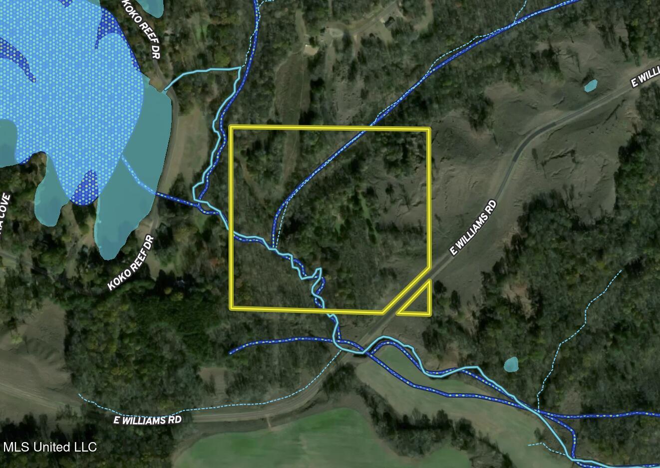 East Williams Road Hernando, MS 38632 - Photo 26 of 28 Aerial