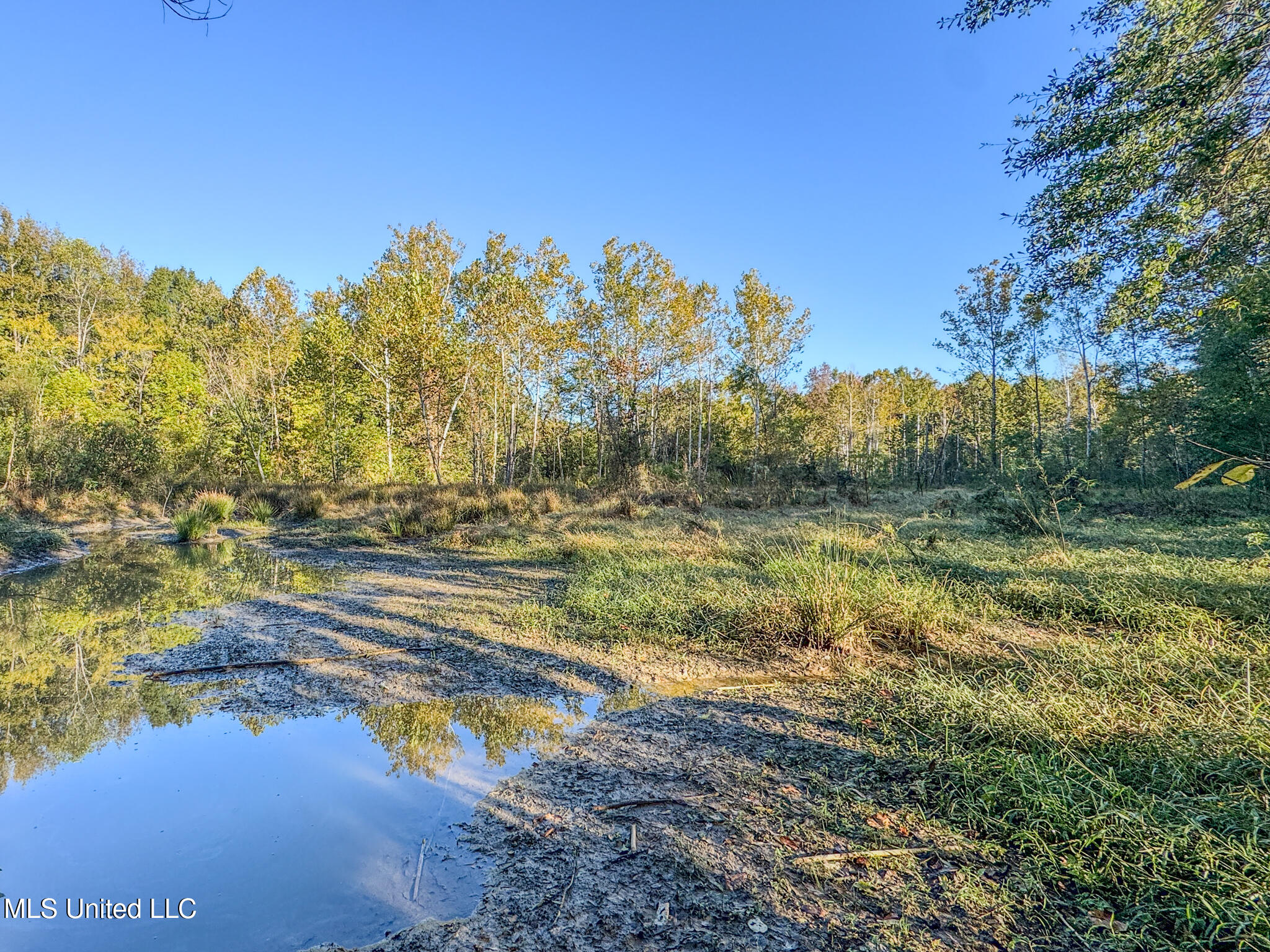 East Williams Road Hernando, MS 38632 - Photo 4 of 28 DeSoto 36 -27