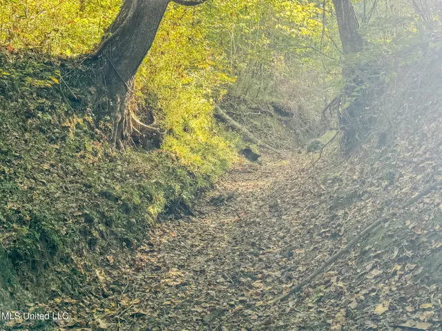 $199,900 | East Williams Road, Hernando, MS 38632