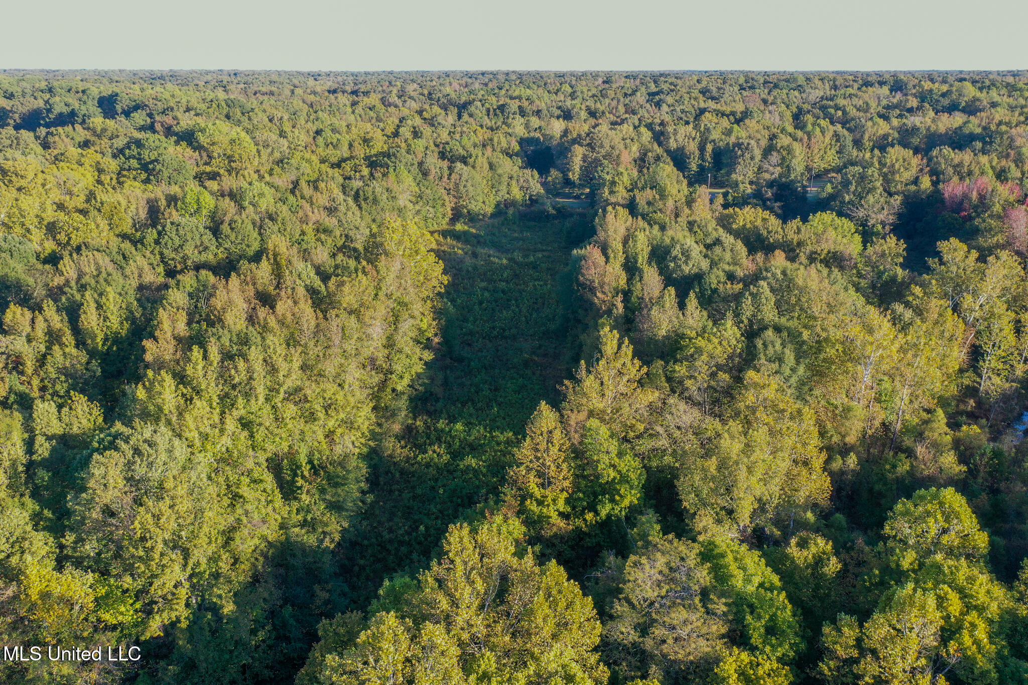 East Williams Road Hernando, MS 38632 - Photo 6 of 28 DeSoto 36 -29
