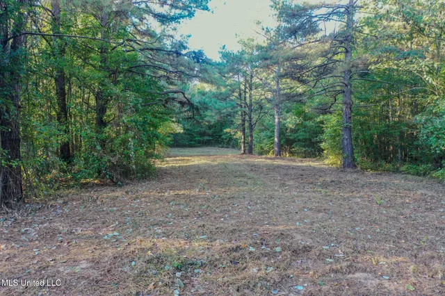 $199,900 | East Williams Road, Hernando, MS 38632