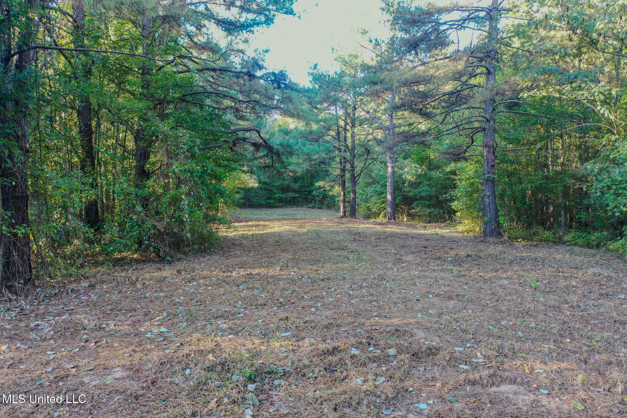 East Williams Road Hernando, MS 38632 - Photo 7 of 28 DeSoto 36 -30