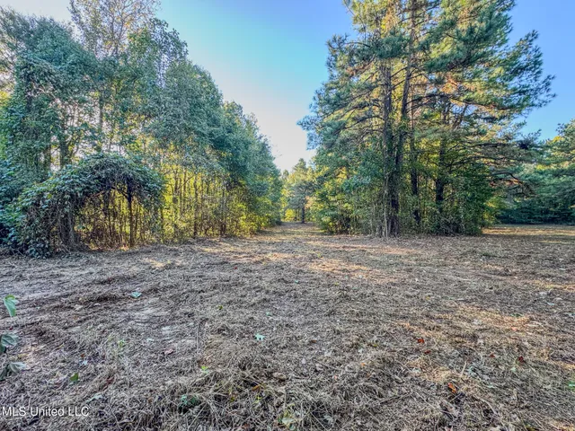 $199,900 | East Williams Road, Hernando, MS 38632