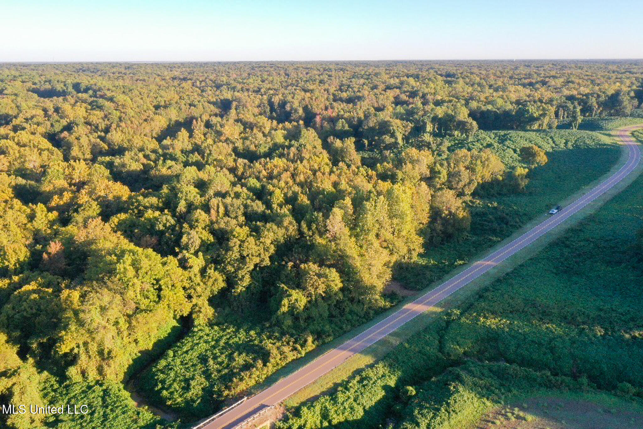 East Williams Road Hernando, MS 38632 - Photo 9 of 28 DeSoto 36 -32
