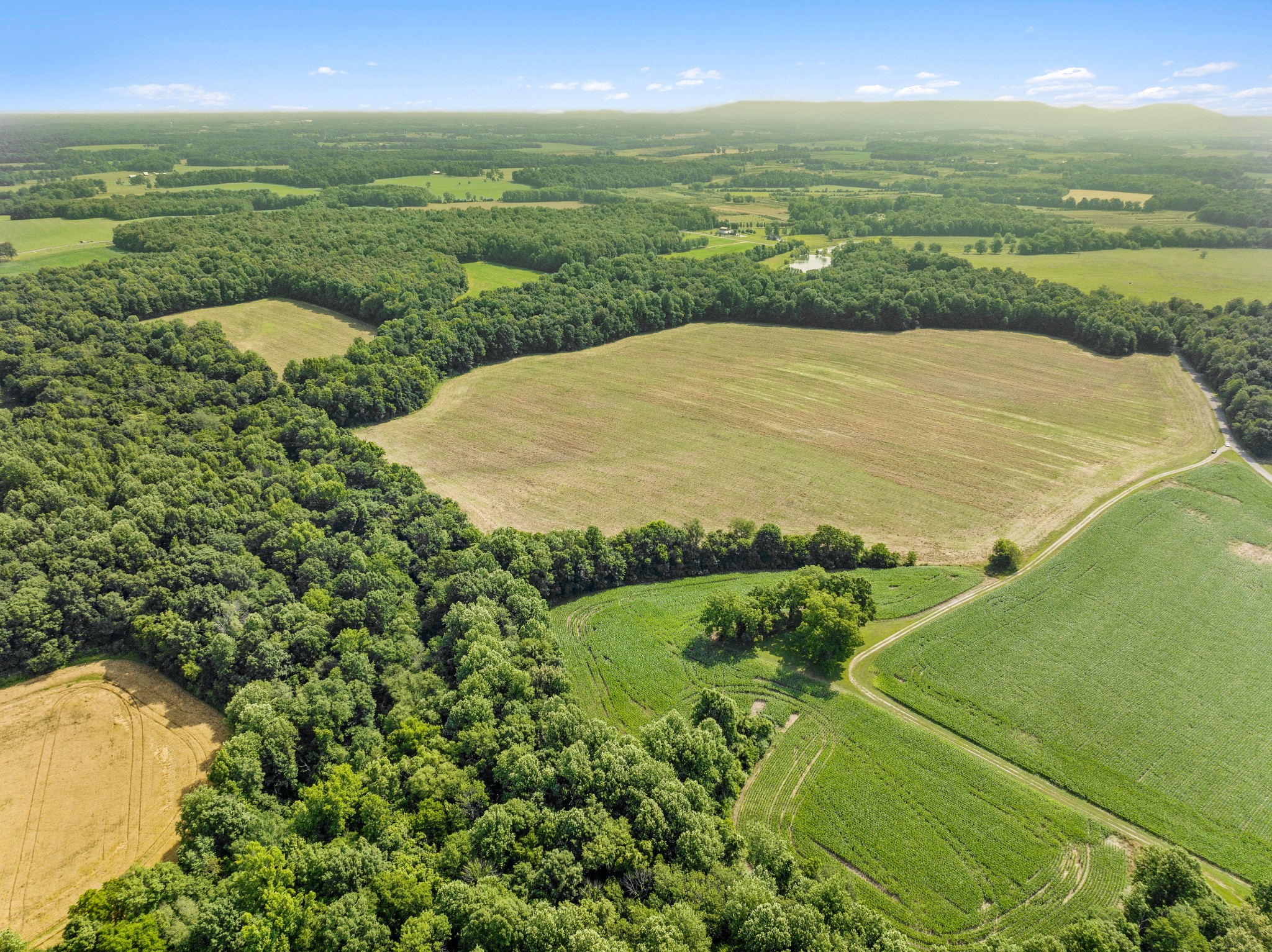 3178 Fountain Grove Road Morrison, TN 37357 - Photo 13 of 18 a view of a lake in front of lake