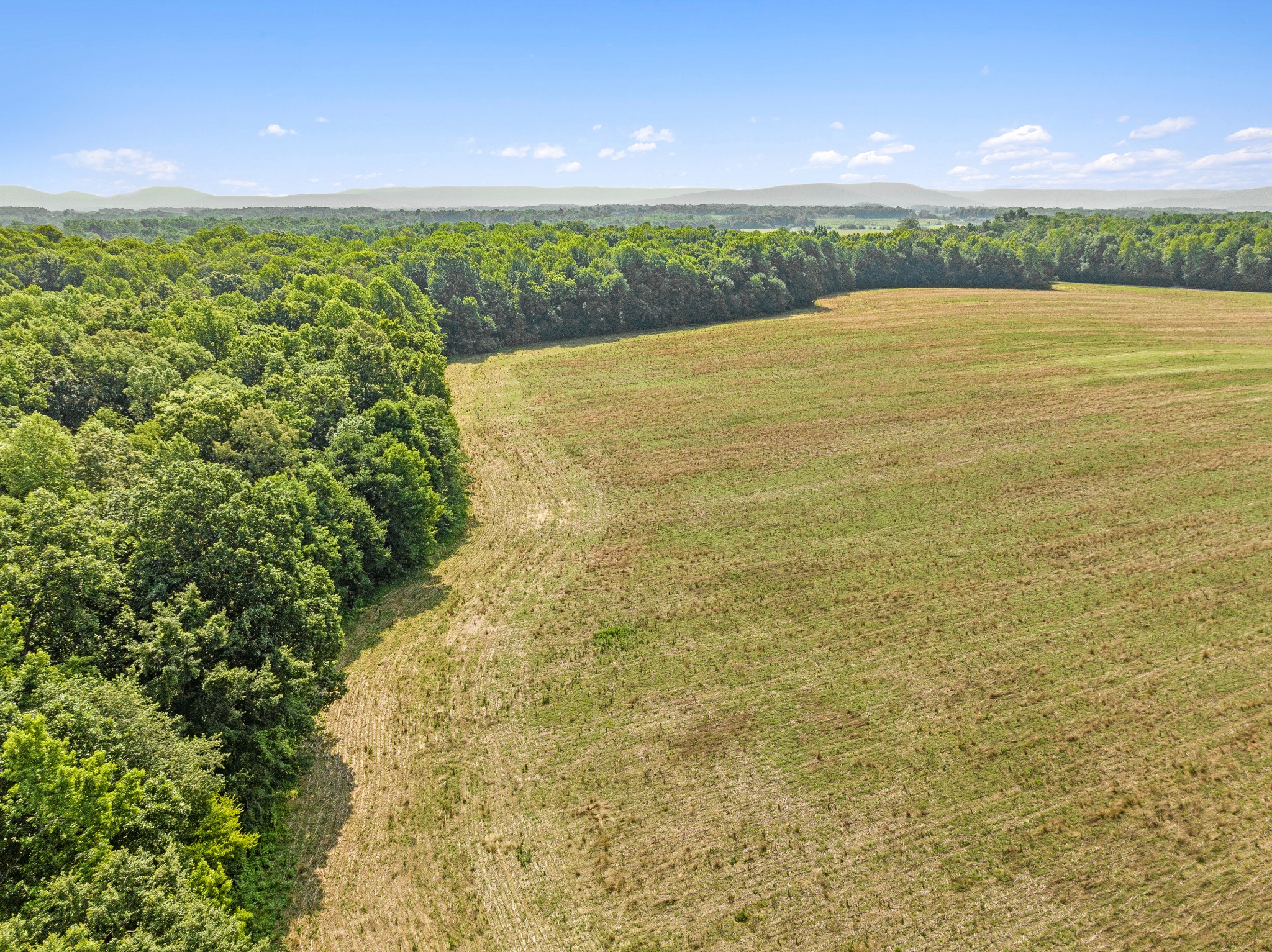 3178 Fountain Grove Road Morrison, TN 37357 - Photo 14 of 18 a view of an ocean from a yard
