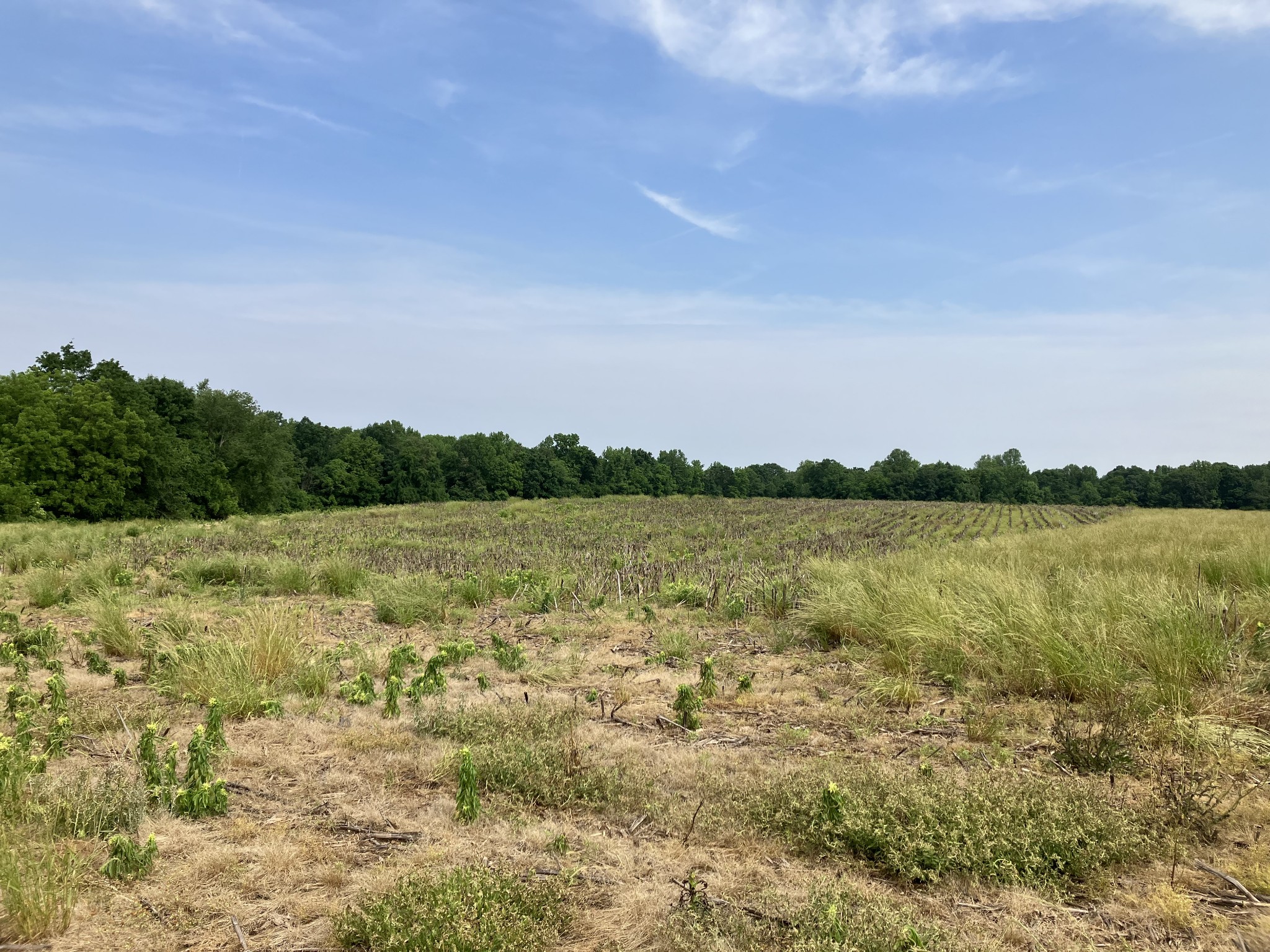 3178 Fountain Grove Road Morrison, TN 37357 - Photo 2 of 18 a view of lake with green space