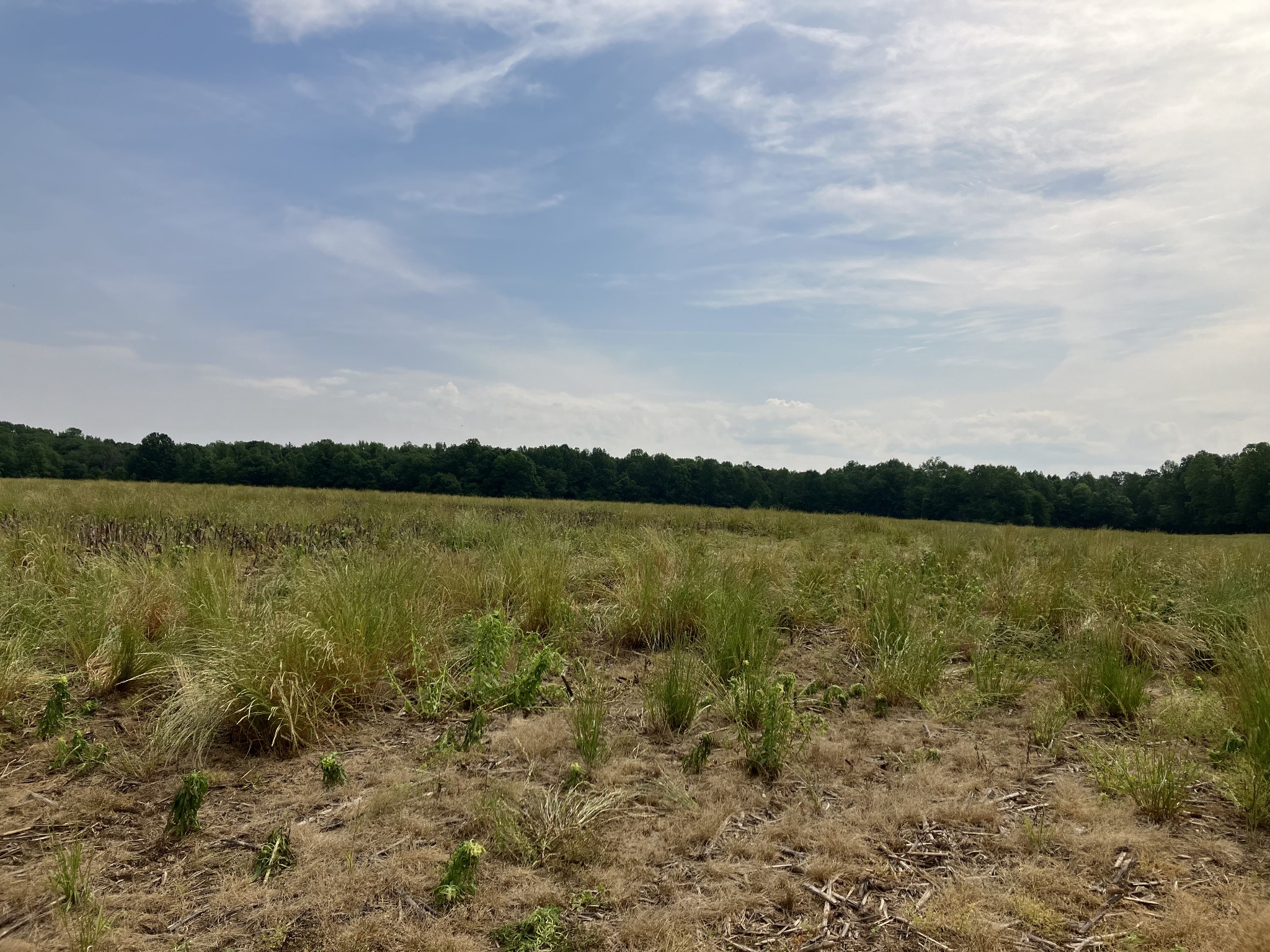 3178 Fountain Grove Road Morrison, TN 37357 - Photo 3 of 18 a view of a lake from a yard