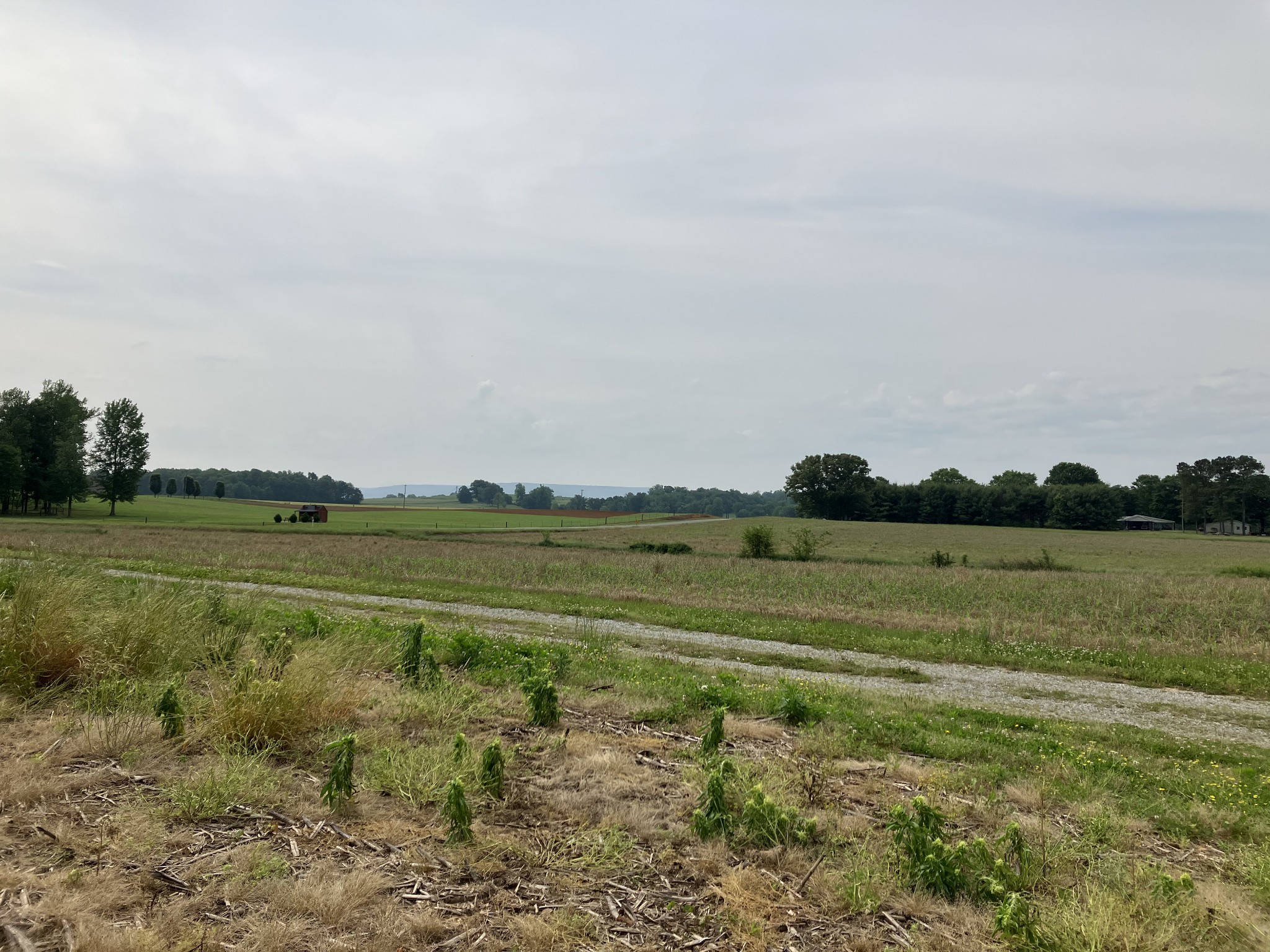 3178 Fountain Grove Road Morrison, TN 37357 - Photo 4 of 18 a view of a lake with a big yard