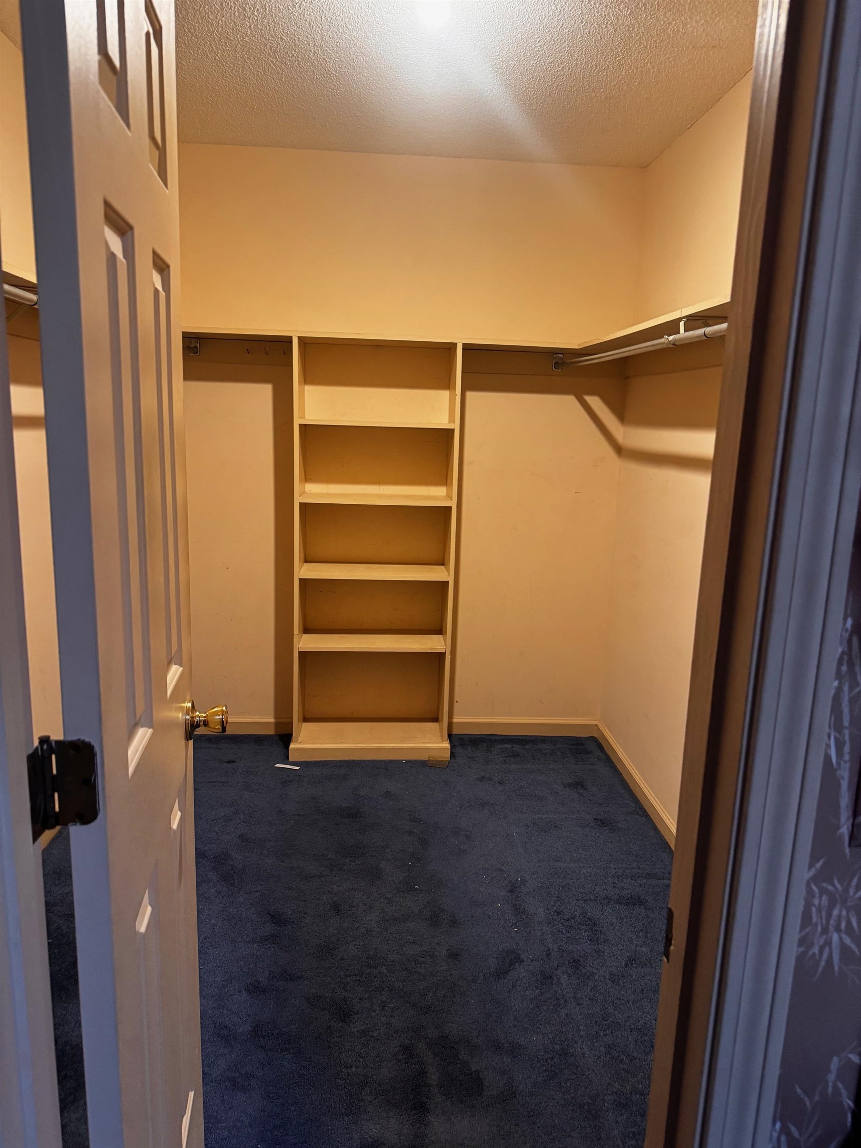 8460 Buckhurst Road Memphis, TN 38016 - Photo 15 of 19 a view of walk in closet with empty racks