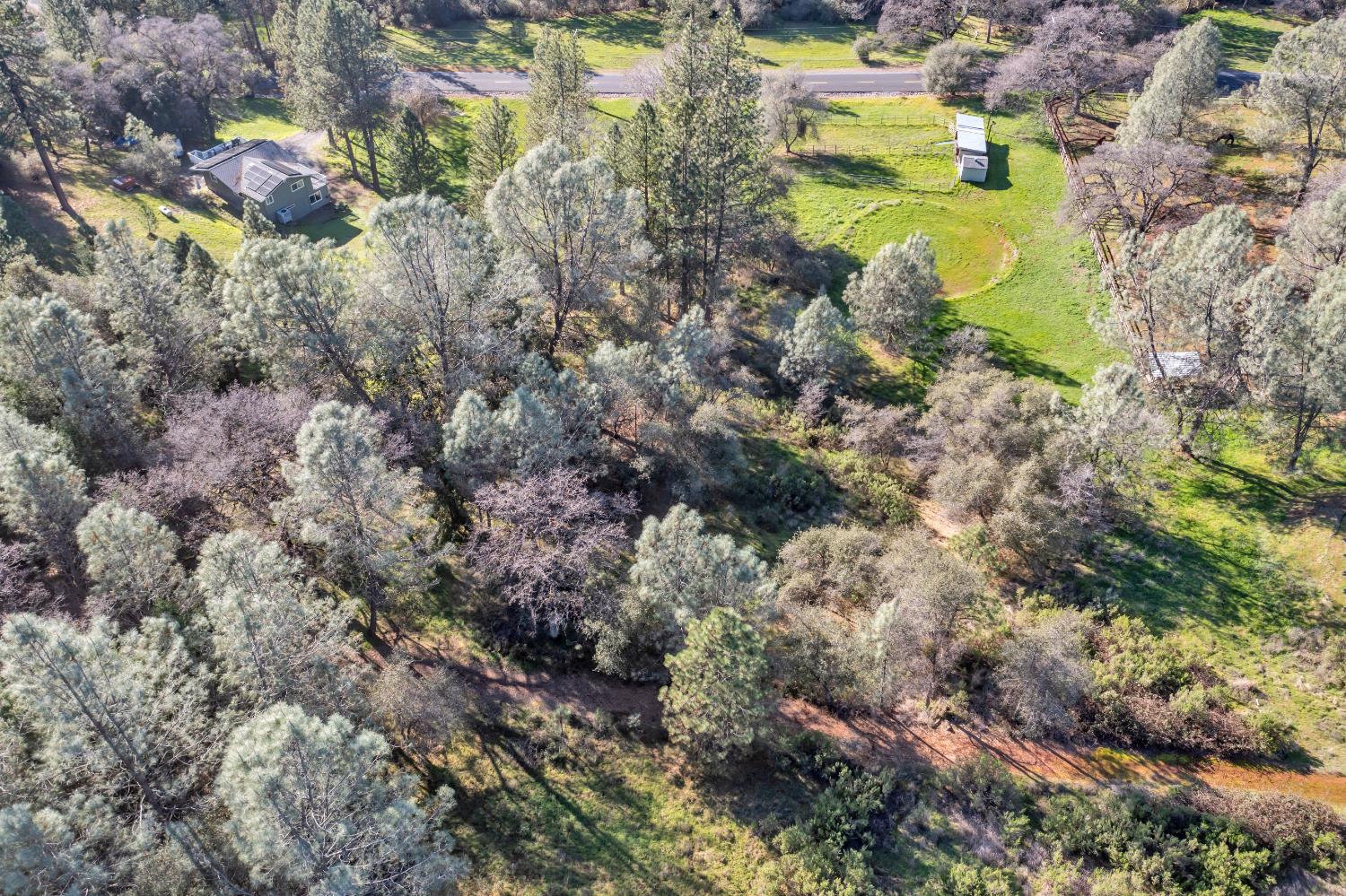 2869 Cascade Trail Cool, CA 95614 - Photo 37 of 80 a view of a yard with swimming pool