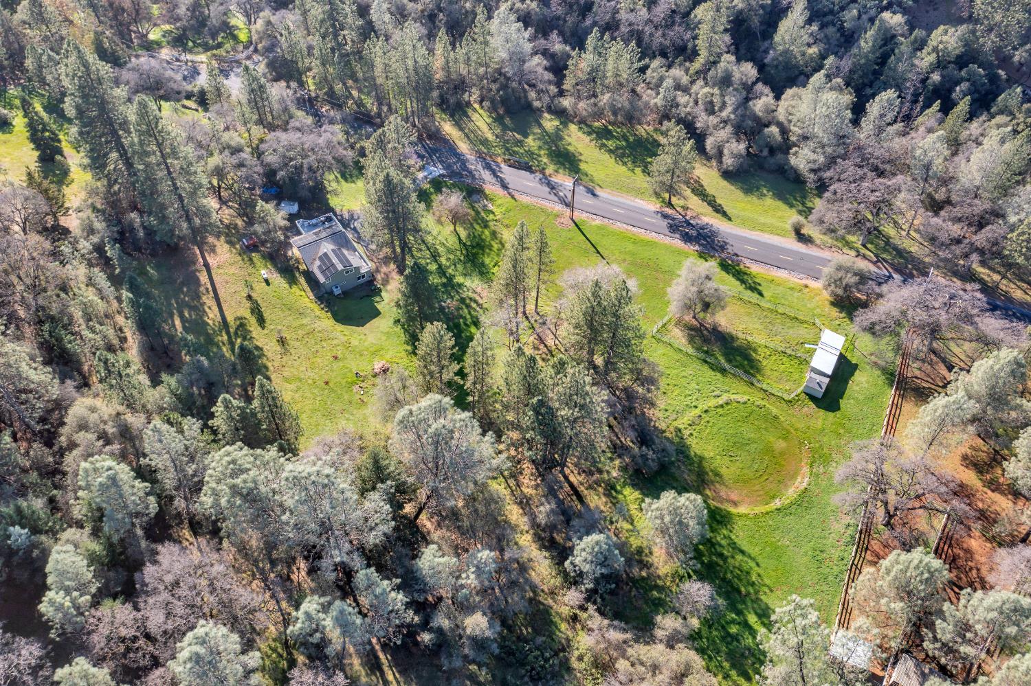 2869 Cascade Trail Cool, CA 95614 - Photo 44 of 80 a view of banana tree