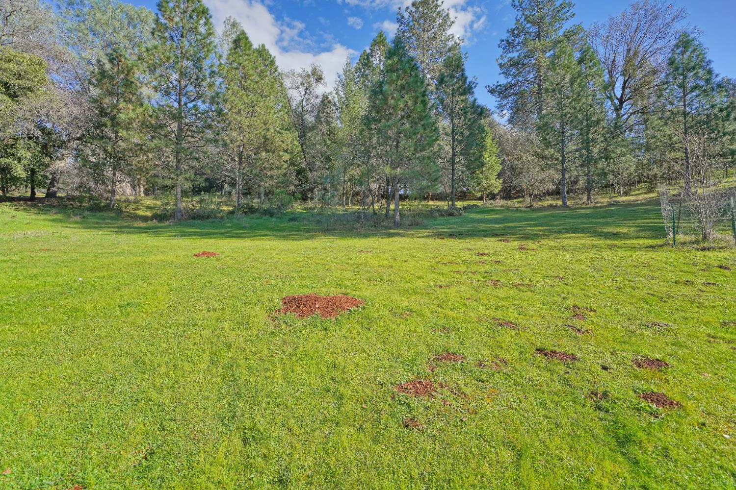 2869 Cascade Trail Cool, CA 95614 - Photo 57 of 80