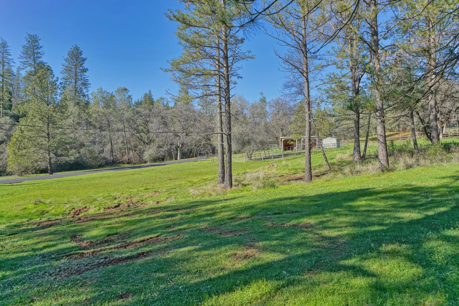 2869 Cascade Trail Cool, CA 95614 - Photo 59 of 80 a view of a park with large trees
