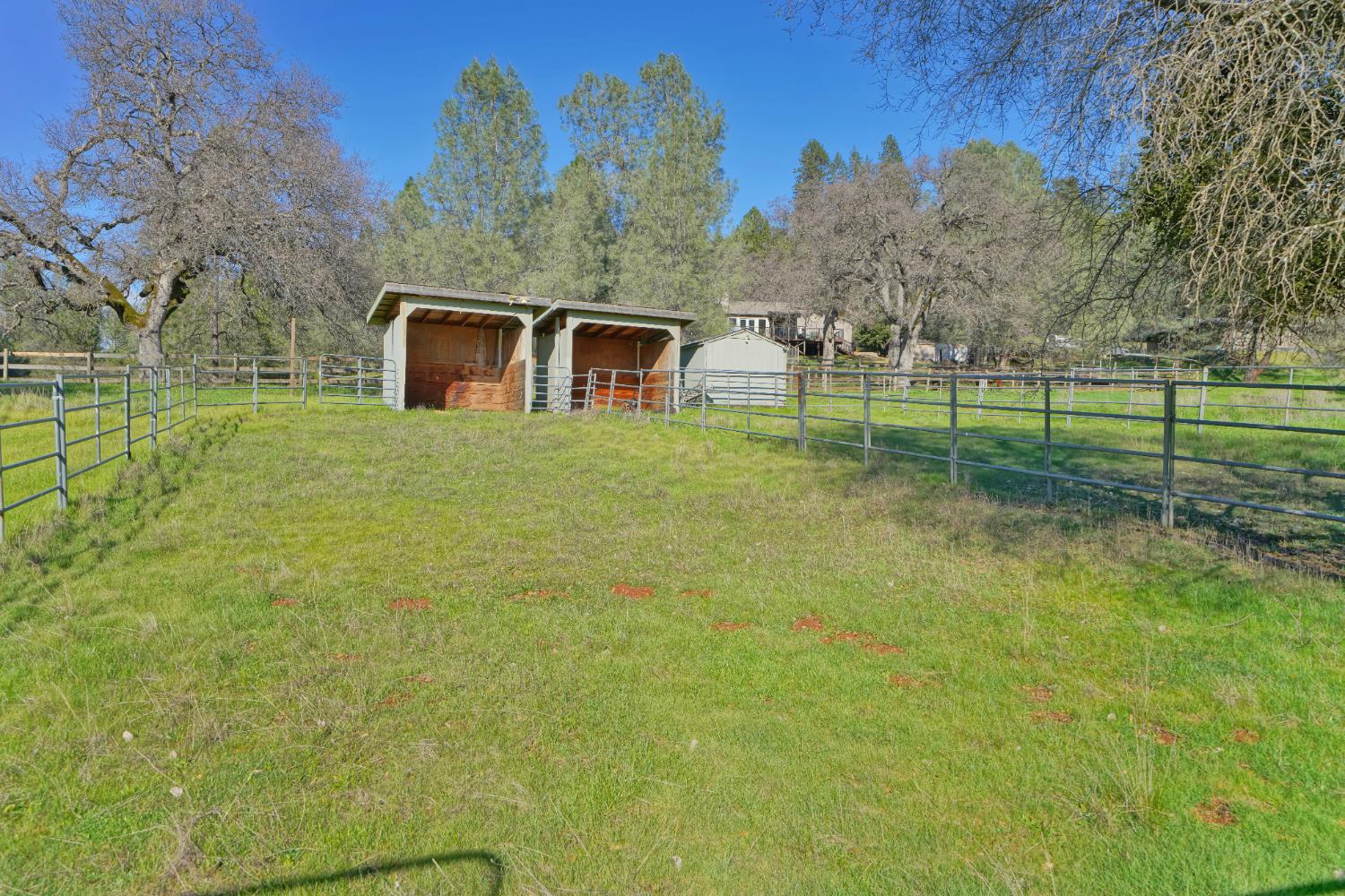 2869 Cascade Trail Cool, CA 95614 - Photo 61 of 80 a backyard of a house with lots of green space and lake view