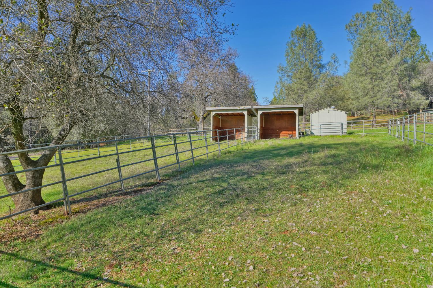 2869 Cascade Trail Cool, CA 95614 - Photo 62 of 80 a view of backyard with wooden fence