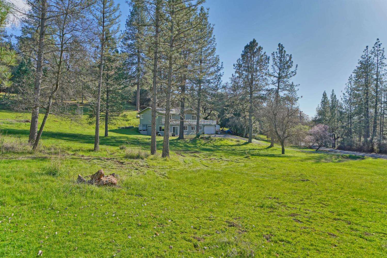 2869 Cascade Trail Cool, CA 95614 - Photo 63 of 80 a view of a park with large trees