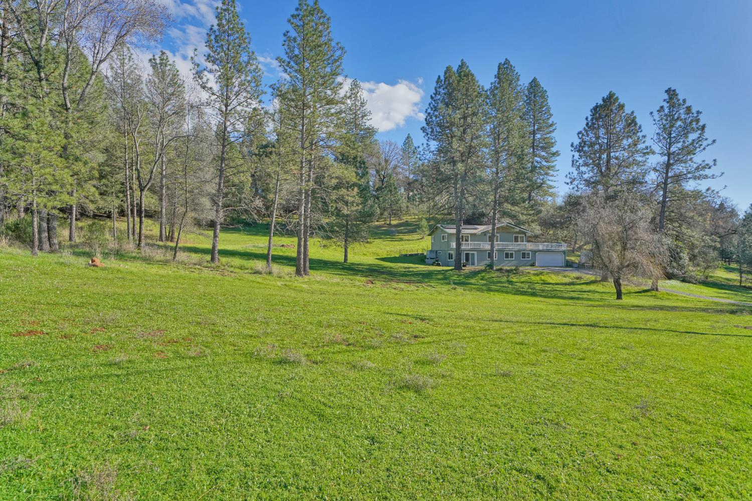 2869 Cascade Trail Cool, CA 95614 - Photo 64 of 80 a view of field with trees in the background