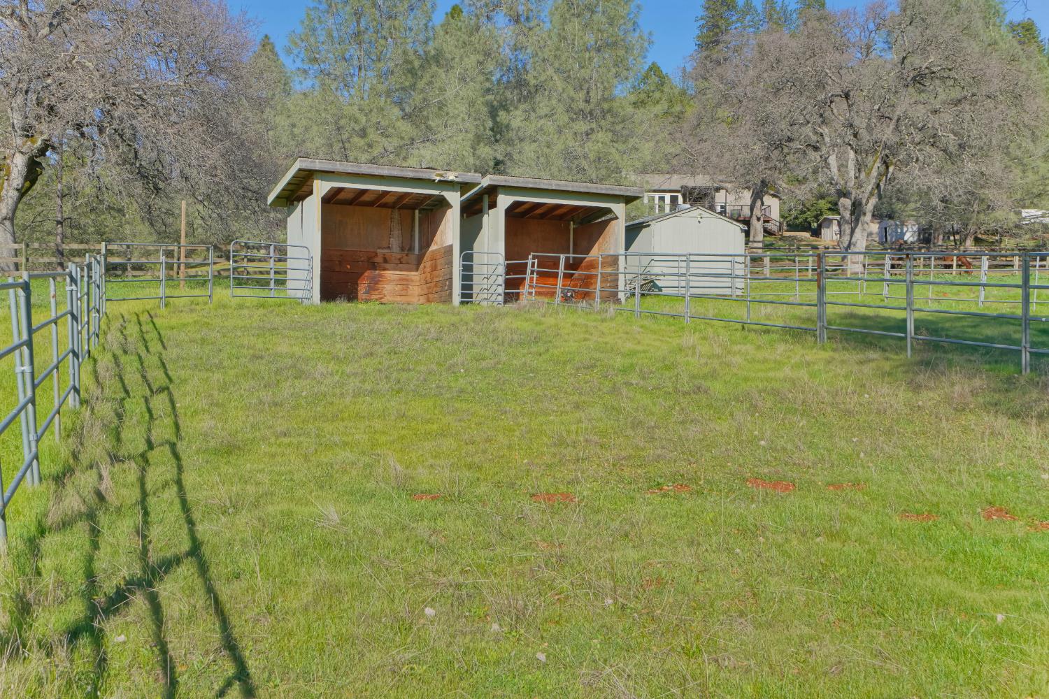 2869 Cascade Trail Cool, CA 95614 - Photo 66 of 80 a backyard of a house with table and chairs