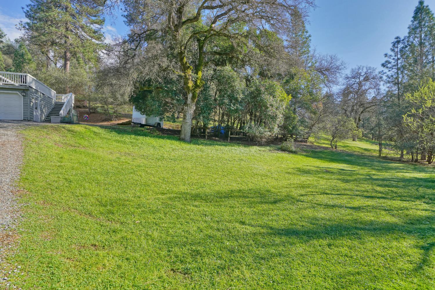 2869 Cascade Trail Cool, CA 95614 - Photo 67 of 80 a view of a backyard with large trees